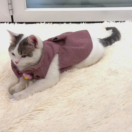 Cat in Red Tweed Dress | MissyMoMo