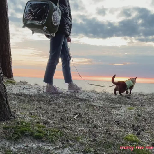 TellyMoMo Airline Approved Hard Cat Carrier | MissyMoMo