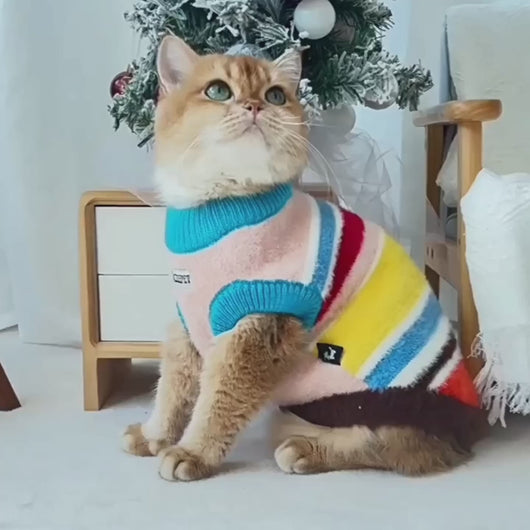 Cat Wearing Rainbow Stripe Sweater | Colorful Knit Cat Outfit | MissyMoMo