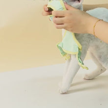 Load and play video in Gallery viewer, Devon Rex in Mesh Vest Cat Harness and Leash | MissyMoMo
