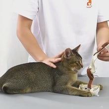 Load and play video in Gallery viewer, Cat Wearing Phoenix Leather Cat Harness In Brown | MissyMoMo
