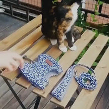 Load and play video in Gallery viewer, Cat Wearing Fuku Cat Harness in Blue Pattern | MissyMoMo
