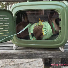 Load and play video in Gallery viewer, TellyMoMo Cat Carrier | Vintage-Inspired Pet Carrier | MissyMoMo
