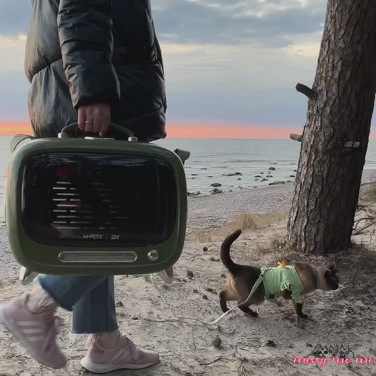 TellyMoMo Cat Carrier | Most Stylish Vintage-Inspired Hard Cat Carrier | MissyMoMo