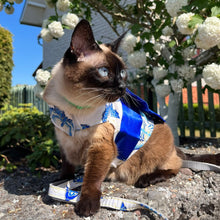 Load image into Gallery viewer, Siamese Cat Wearing Blue Kimono Harness with Bow | MissyMoMo
