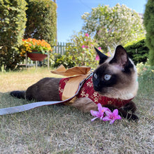 Load image into Gallery viewer, Siamese Cat Lying Down in Red Kimono Harness with Bow | MissyMoMo
