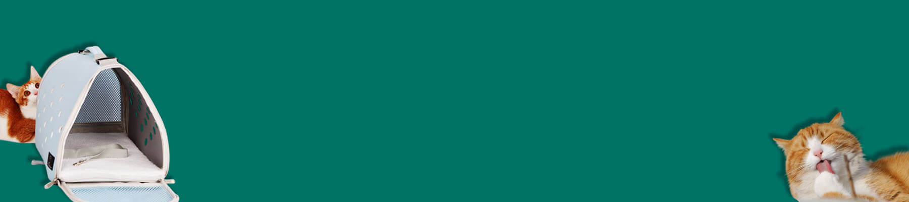 Airline-Approved Cat Carriers