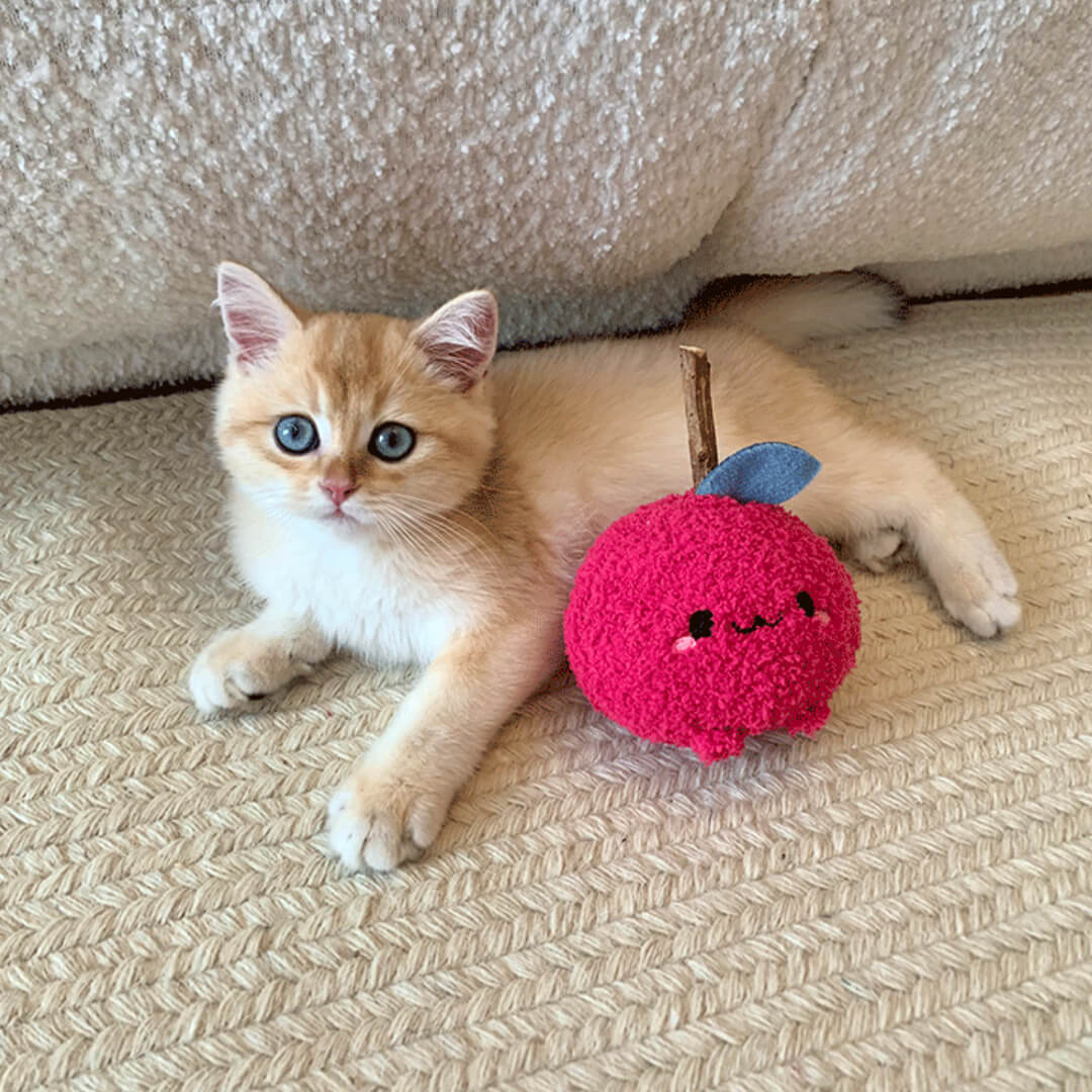 Cat with Cute Apple Silvervine Cat Chew Toy | MissyMoMo