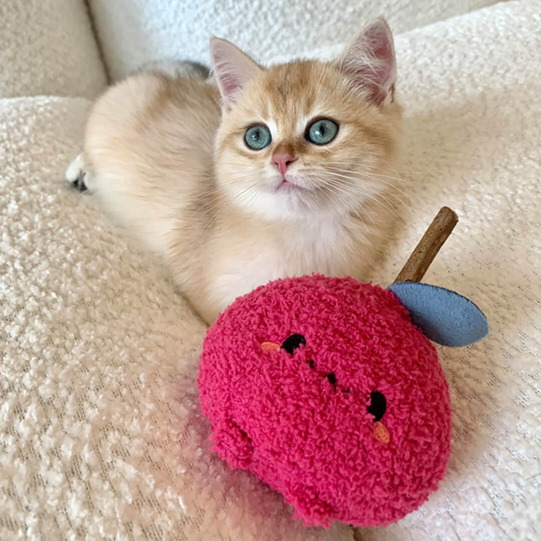 Cat with Cute Apple Silvervine Cat Chew Toy | MissyMoMo