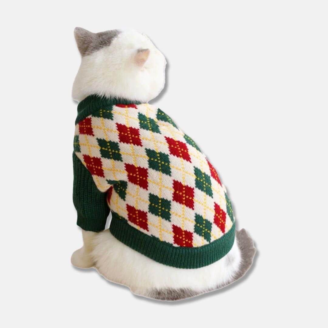 Cat in Argyle Sweater | MissyMoMo