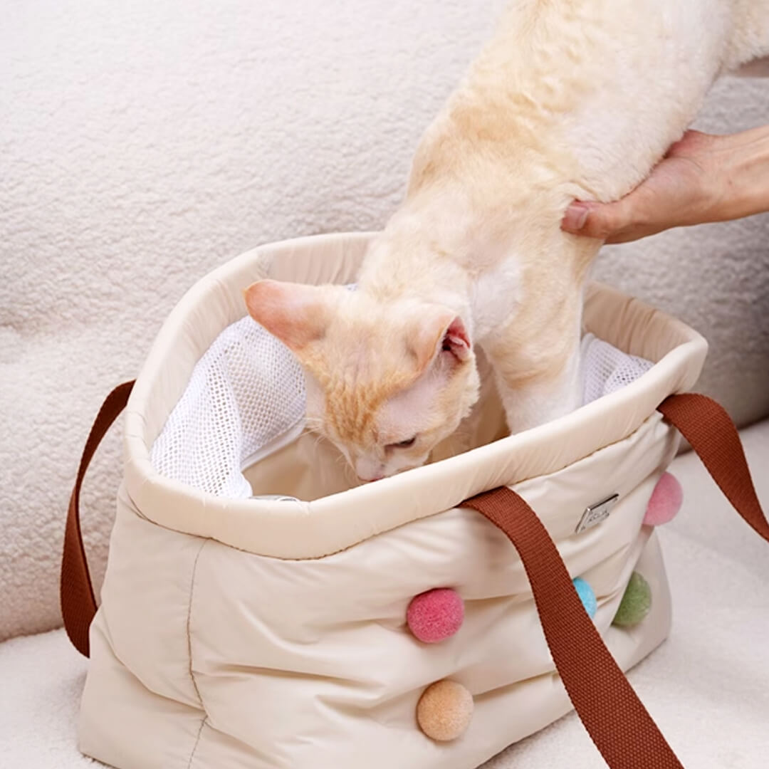 Getting a Cat in a Cat Shoulder Bag | MissyMoMo