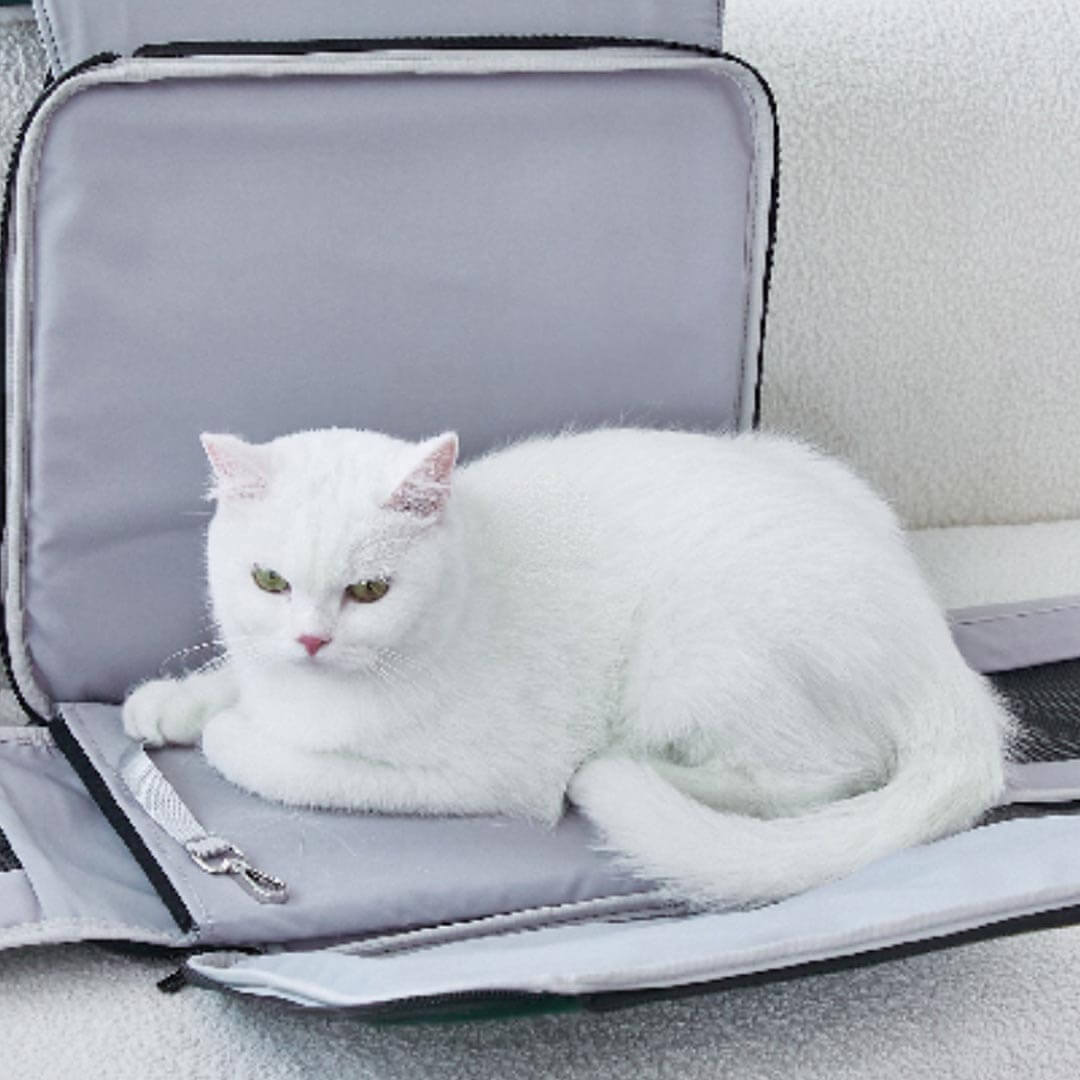 Cat Lying in Arkika Whiskers Wonders Pink Cat Backpack | MissyMoMo