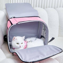 Load image into Gallery viewer, Cat Peeking Out From Pink Arkika Whiskers Wonders Cat Backpack | MissyMoMo
