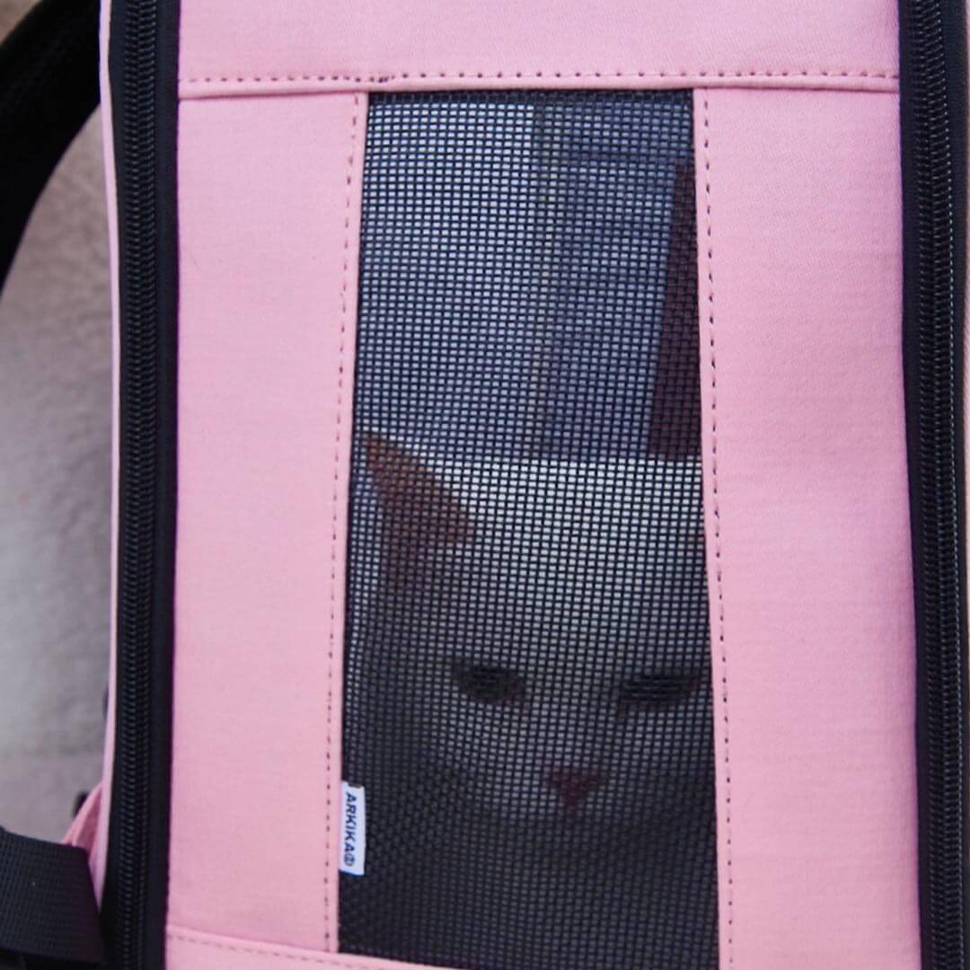 Cat Seeing Out of the Arkika Whiskers Wonders Pink Cat Backpack | MissyMoMo
