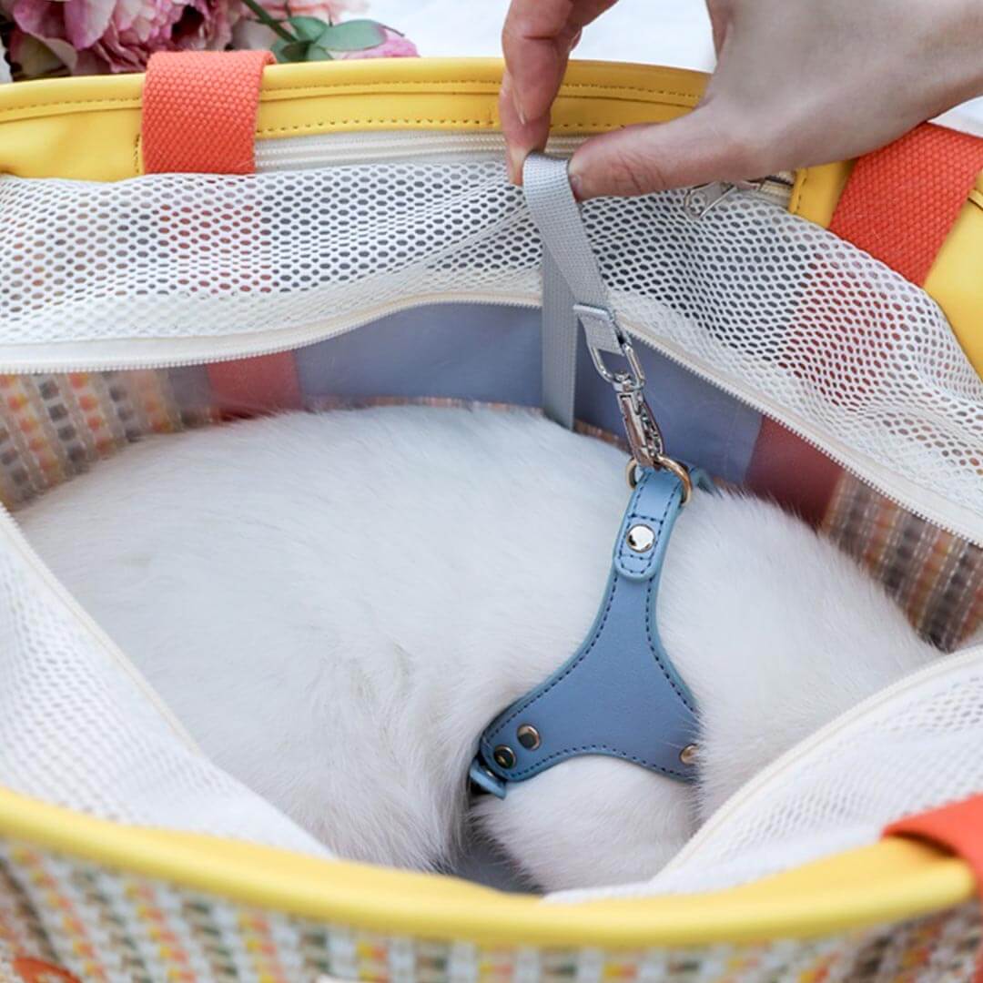 Arkika Woven Cat Carrier | Cat in Shoulder Bag | MissyMoMo