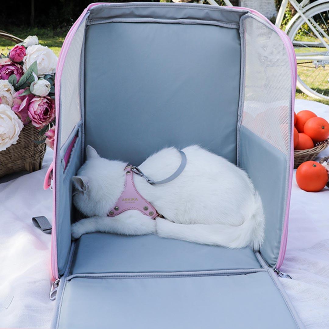 Cat Resting Inside Arkika Travel Cat Backpack With Mesh Sides | MissyMoMo