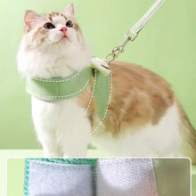 Load image into Gallery viewer, Cat in Avocado Angel Wings Harness on Leash | MissyMoMo
