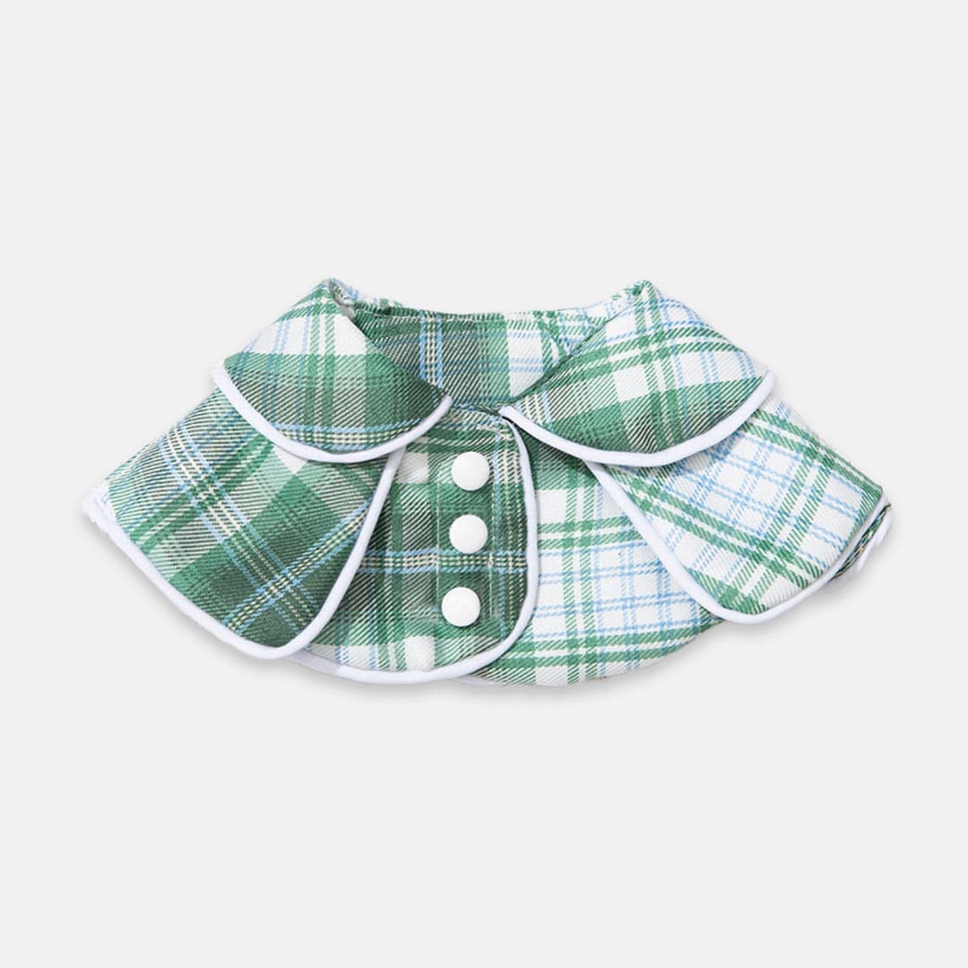 Back to School Cat Bib | Cat Collar | MissyMoMo