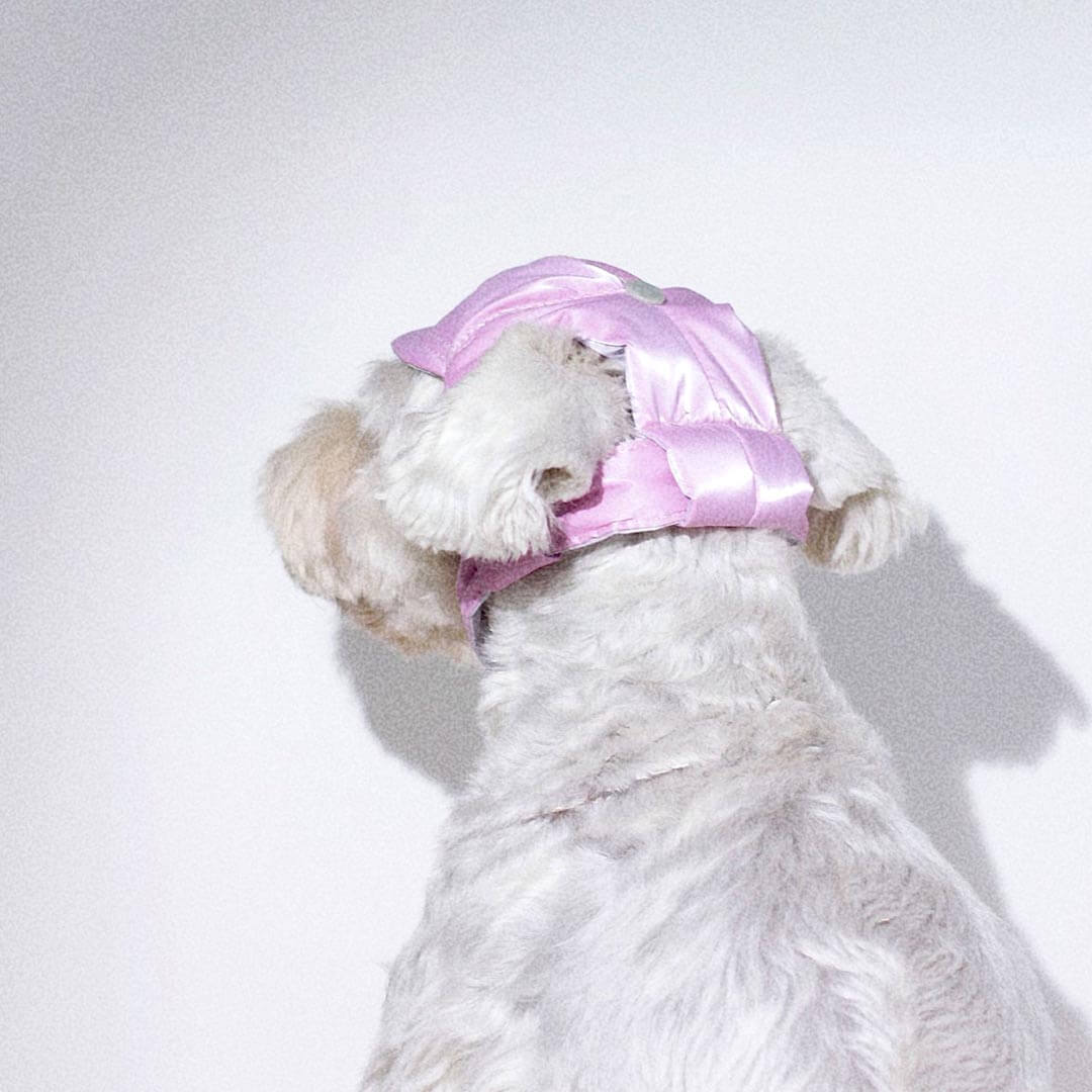 Baseball Cat Hat | Baseball Hat for Pets | MissyMoMo