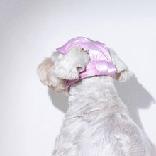 Load image into Gallery viewer, Baseball Cat Hat | Baseball Hat for Pets | MissyMoMo
