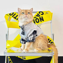 Load image into Gallery viewer, Cat Wearing Cute Grey Sweatshirt | Plaid Sleeve Cat Outfit | MissyMoMo
