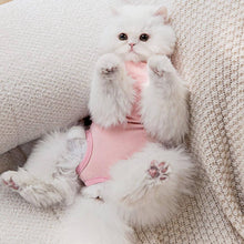 Load image into Gallery viewer, Bella Cat Recovery Suit | Recovery Suit for Cats | MissyMoMo

