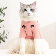 Load image into Gallery viewer, Bella Cat T-Shirt | Cat in T-Shirt | Cat Clothes | MissyMoMo
