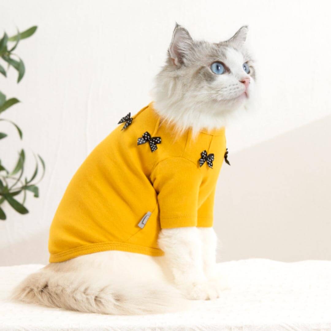 Bella Cat T-Shirt | Cat in T-Shirt | Cat Clothes | MissyMoMo