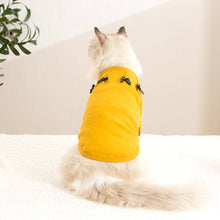 Load image into Gallery viewer, Bella Cat T-Shirt | Cat in T-Shirt | Cat Clothes | MissyMoMo
