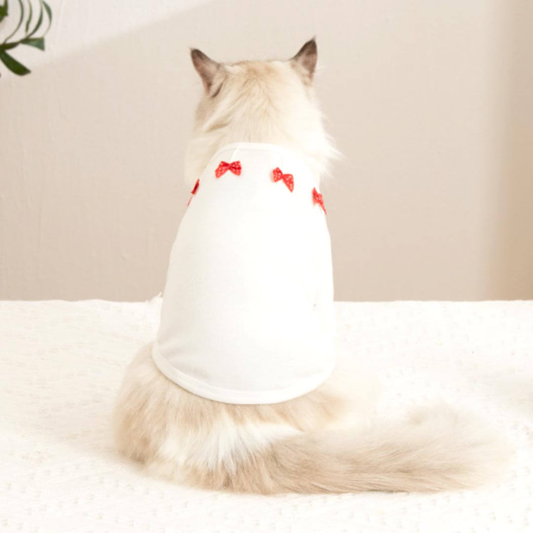 Bella Cat T-Shirt | Cat in T-Shirt | Cat Clothes | MissyMoMo