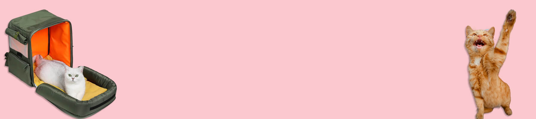 MissyMoMo Black Cat Backpack Collection