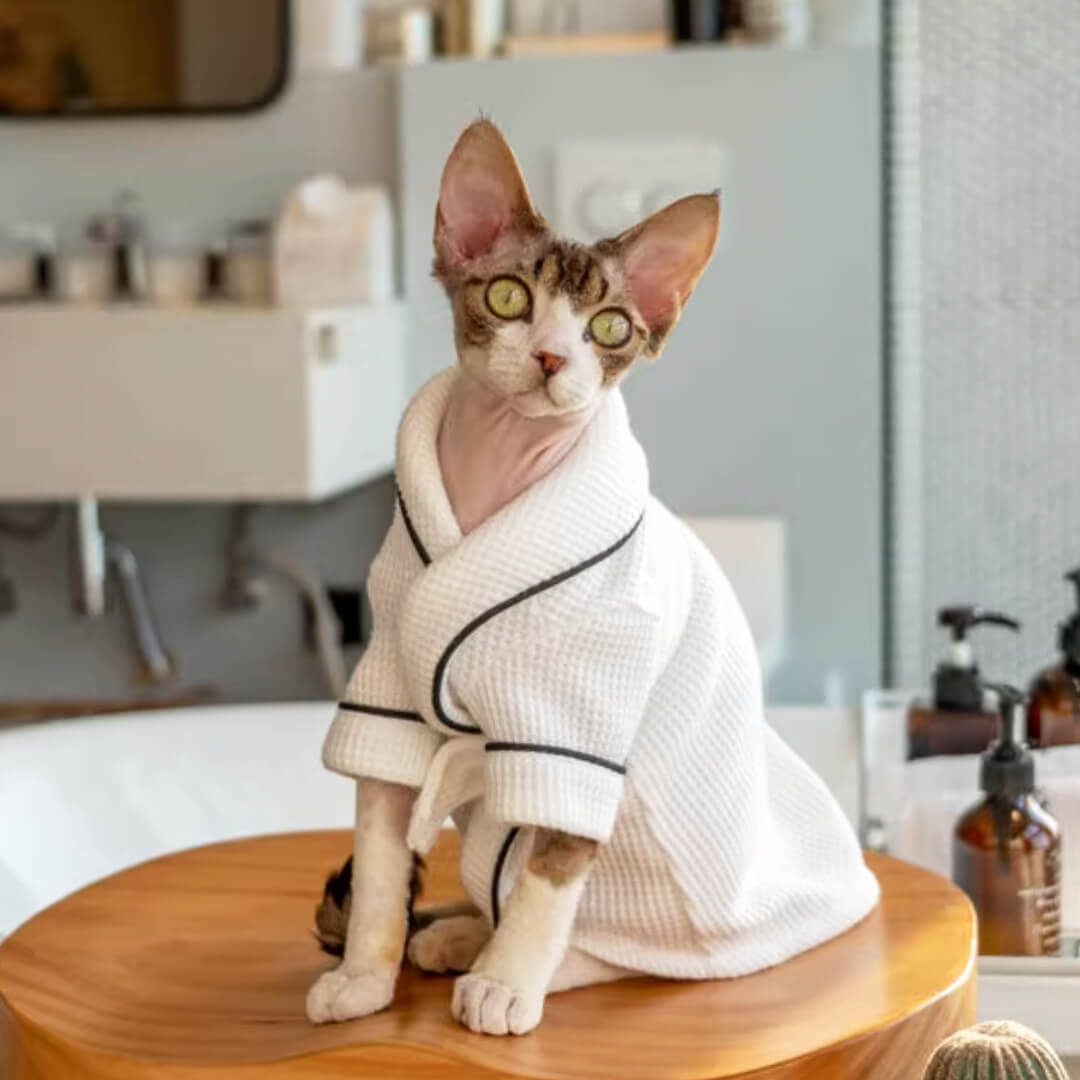 Devon Rex in White Bathrobe | MissyMoMo