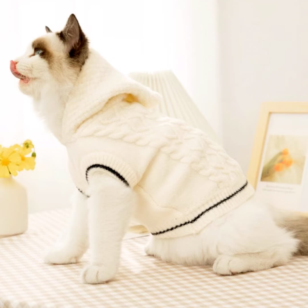 Cat in White Knit Hoodie | MissyMoMo