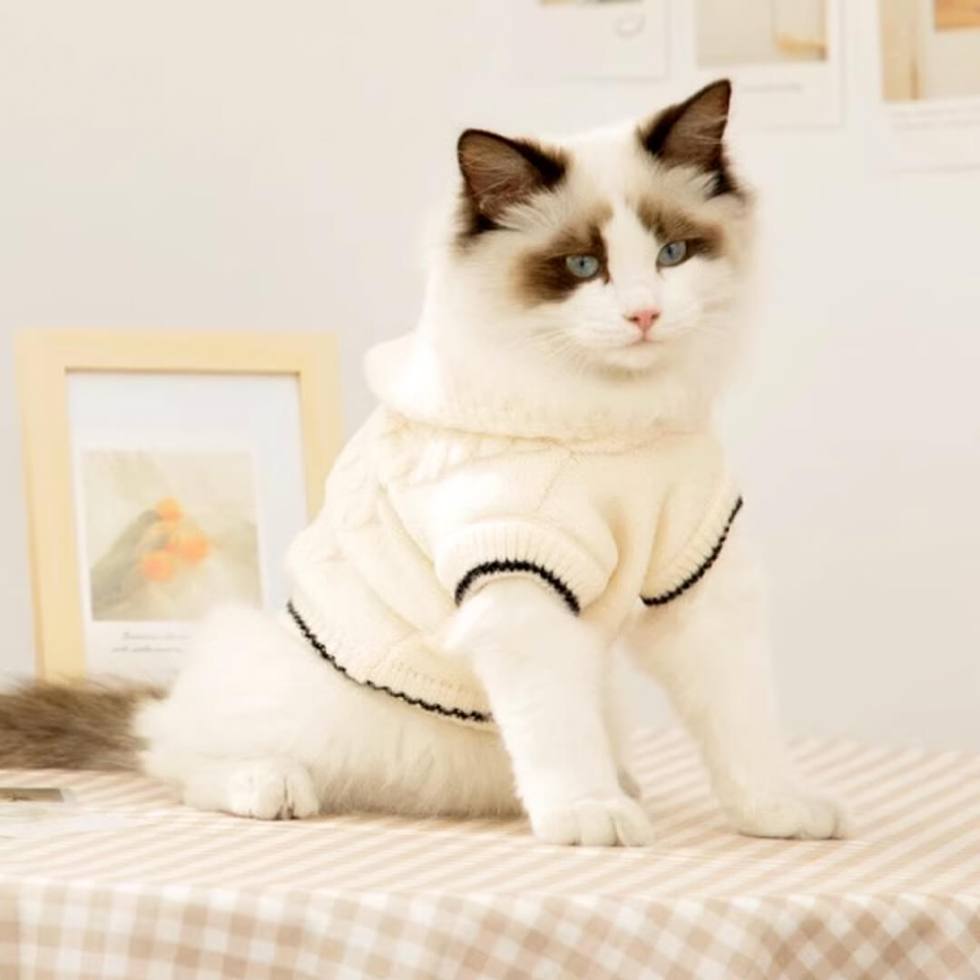 Cat in White Hooded Sweater | MissyMoMo