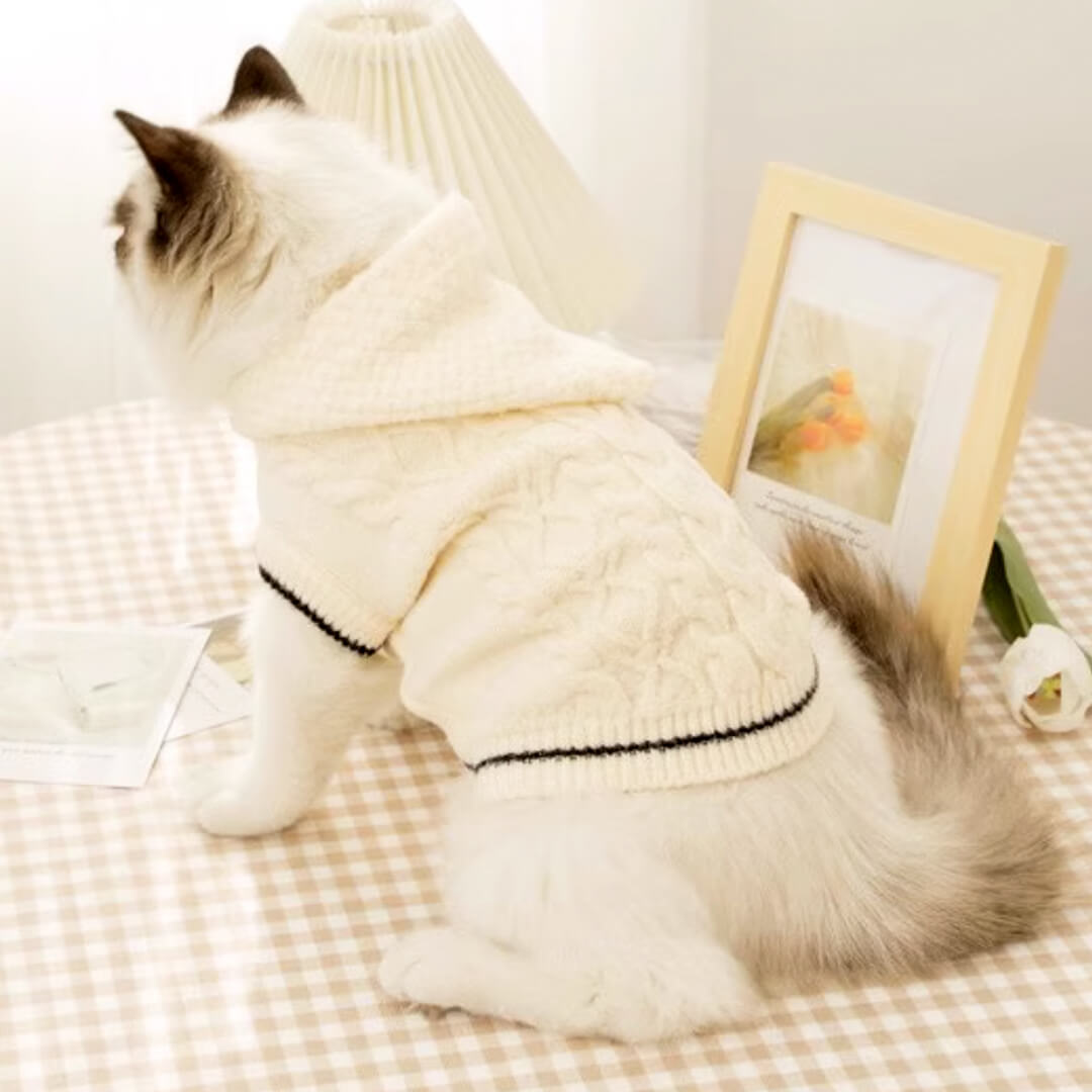Cat in White Hooded Sweater | MissyMoMo