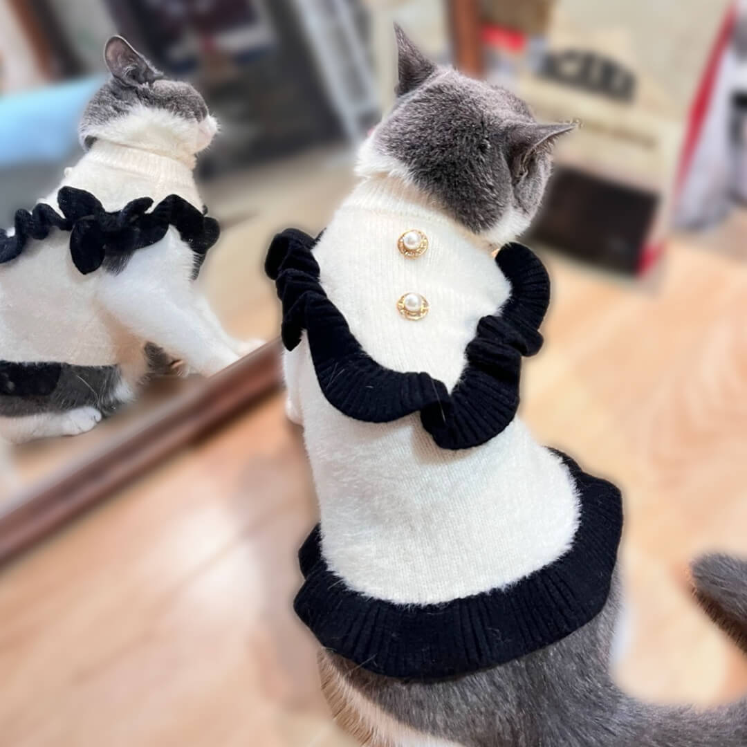 Cat in Elegant Sweater | MissyMoMo