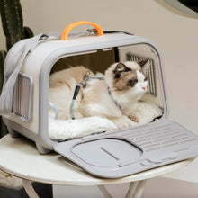 Load image into Gallery viewer, Cat Sitting in Gray Castle Cat Carrier | MissyMoMo
