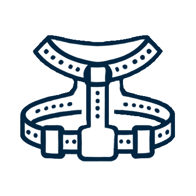 Cat Harness Icon