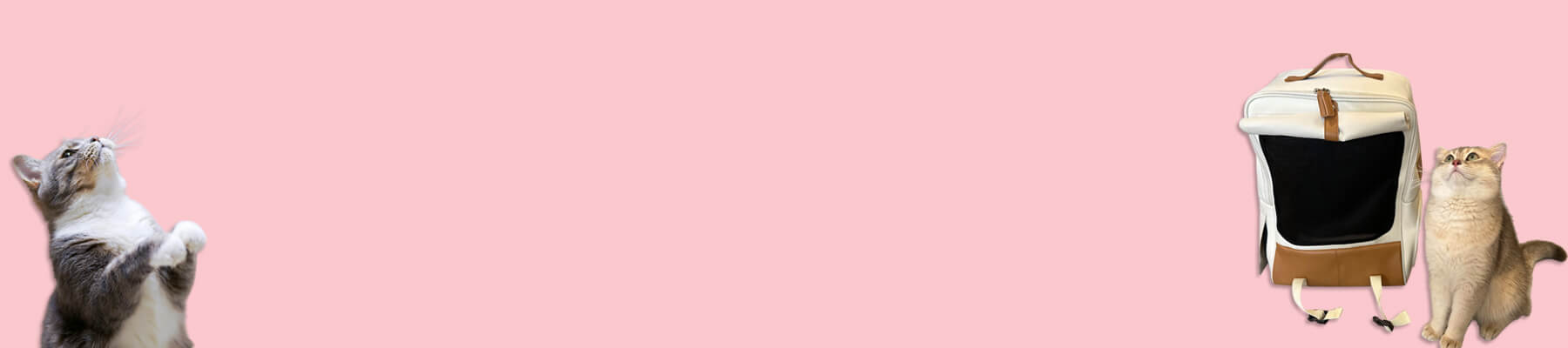 MissyMoMo Cat Backpacks for Traveling Collection