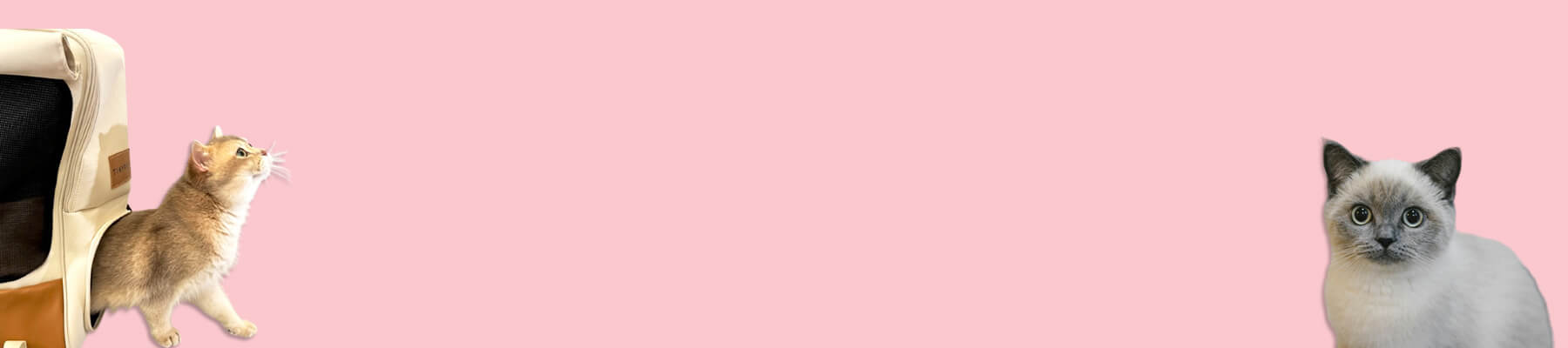 MissyMoMo Cat Backpacks with Privacy Flaps Collection