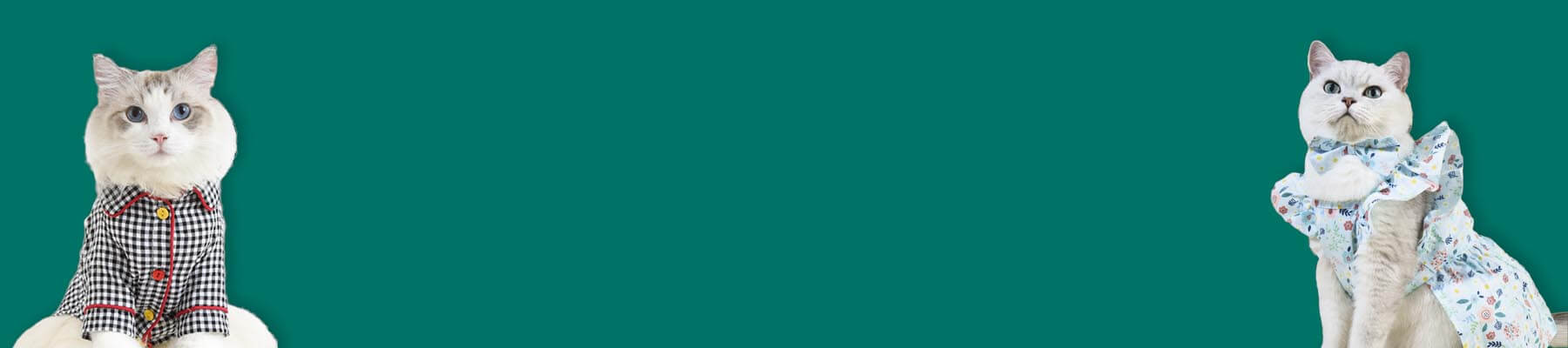 MissyMoMo Cat Dress & Shirt Collection