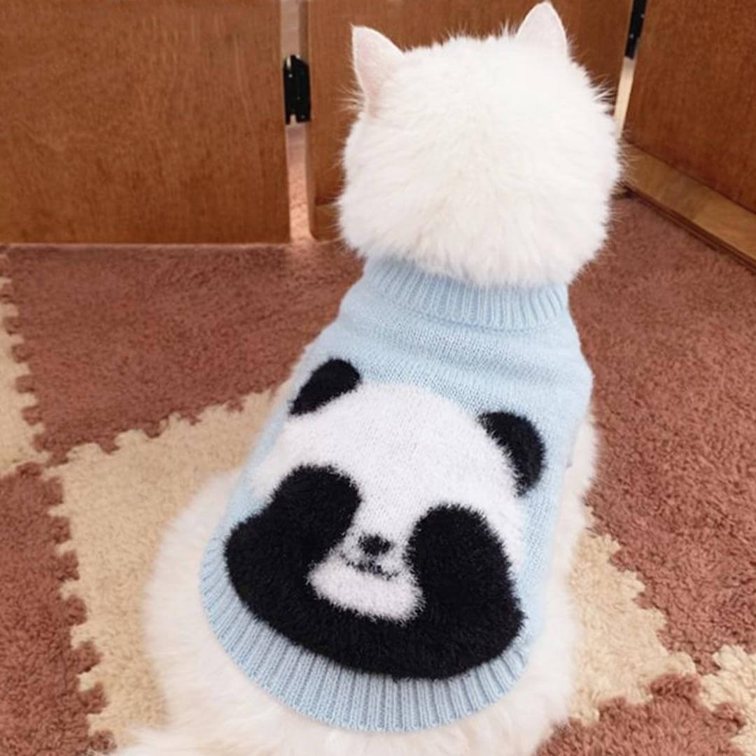 White Cat Wearing Light Blue Panda Knit Cat Sweater | Cute Cat Sweater | MissyMoMo