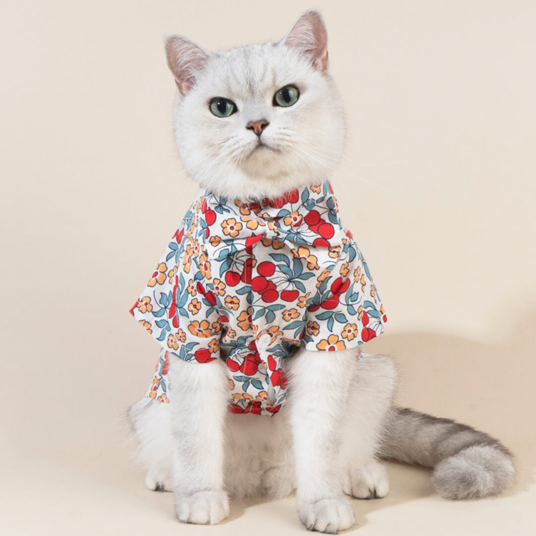 Cat in Floral Shirt with Bow Tie | MissyMoMo