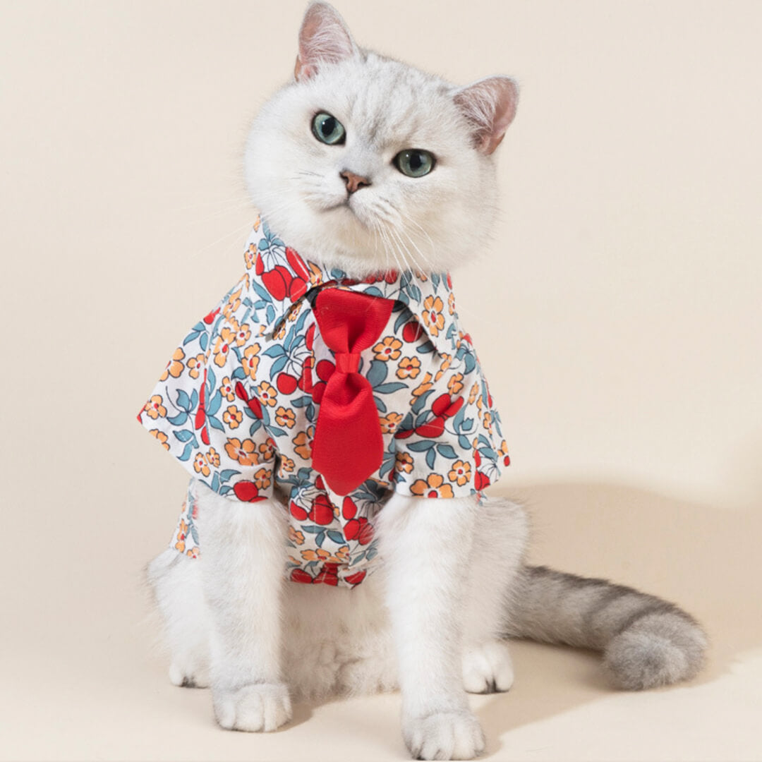 Cat in Floral Shirt with Tie | MissyMoMo