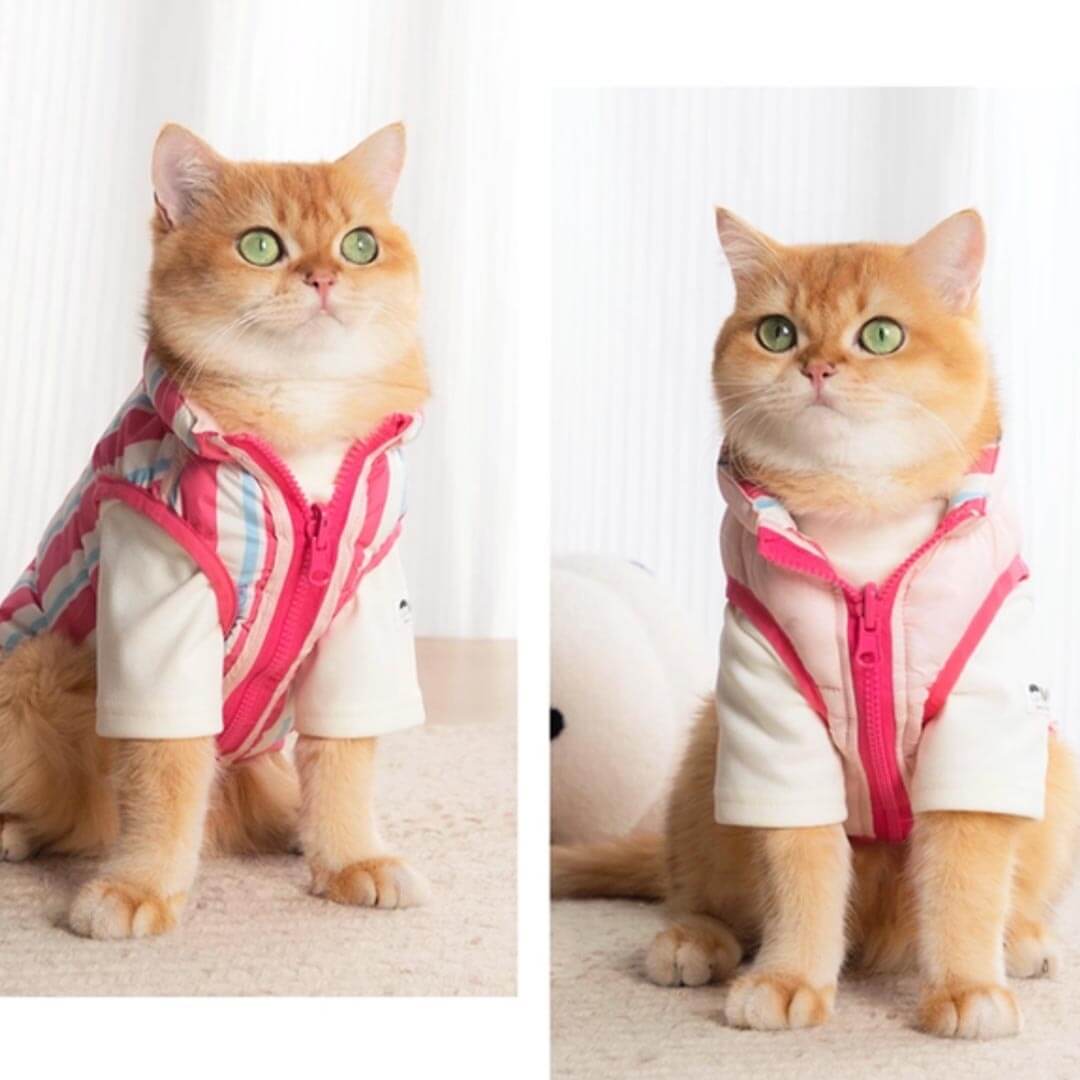 Cat in Pink Reversible Jacket | MissyMoMo