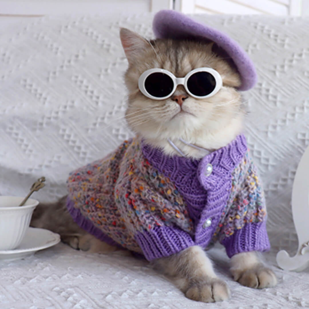 Cat with Purple Wool Beret Hat | MissyMoMo