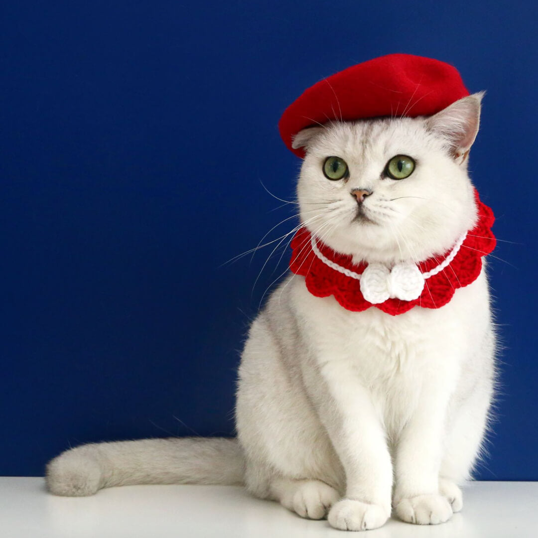 Cat with Red Wool Beret Hat | MissyMoMo