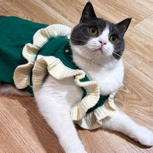 Load image into Gallery viewer, Cat in Green Knit Dress | MissyMoMo

