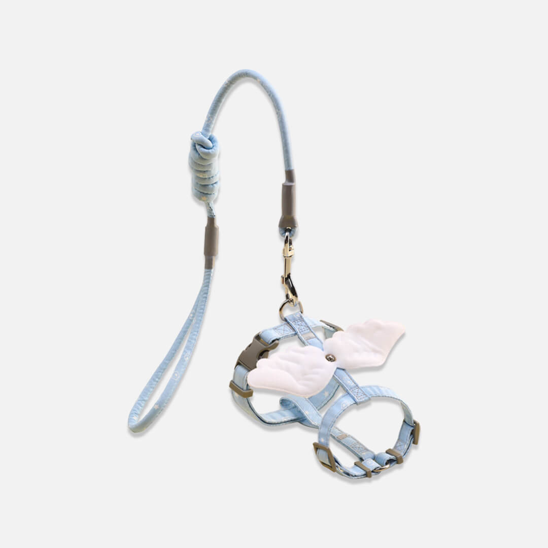 Celeste Blue H-Style Cat Harness & Leash for Walking | MissyMoMo