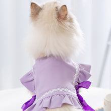 Load image into Gallery viewer, Cat in Purple Cat Vest | MissyMoMo
